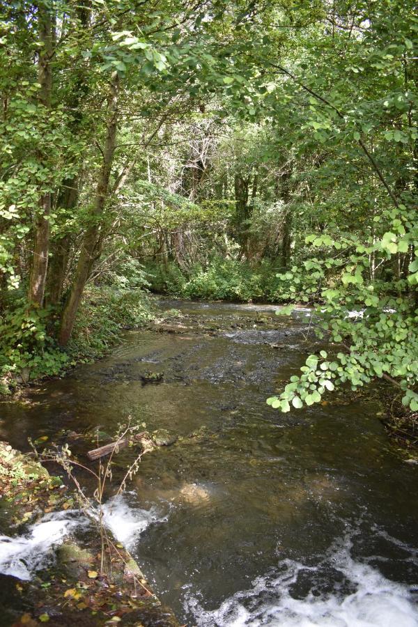 Le Moulin,19 Bis Rue De Beaudon, 45330 Augerville La Riviere Trezan Eksteriør bilde